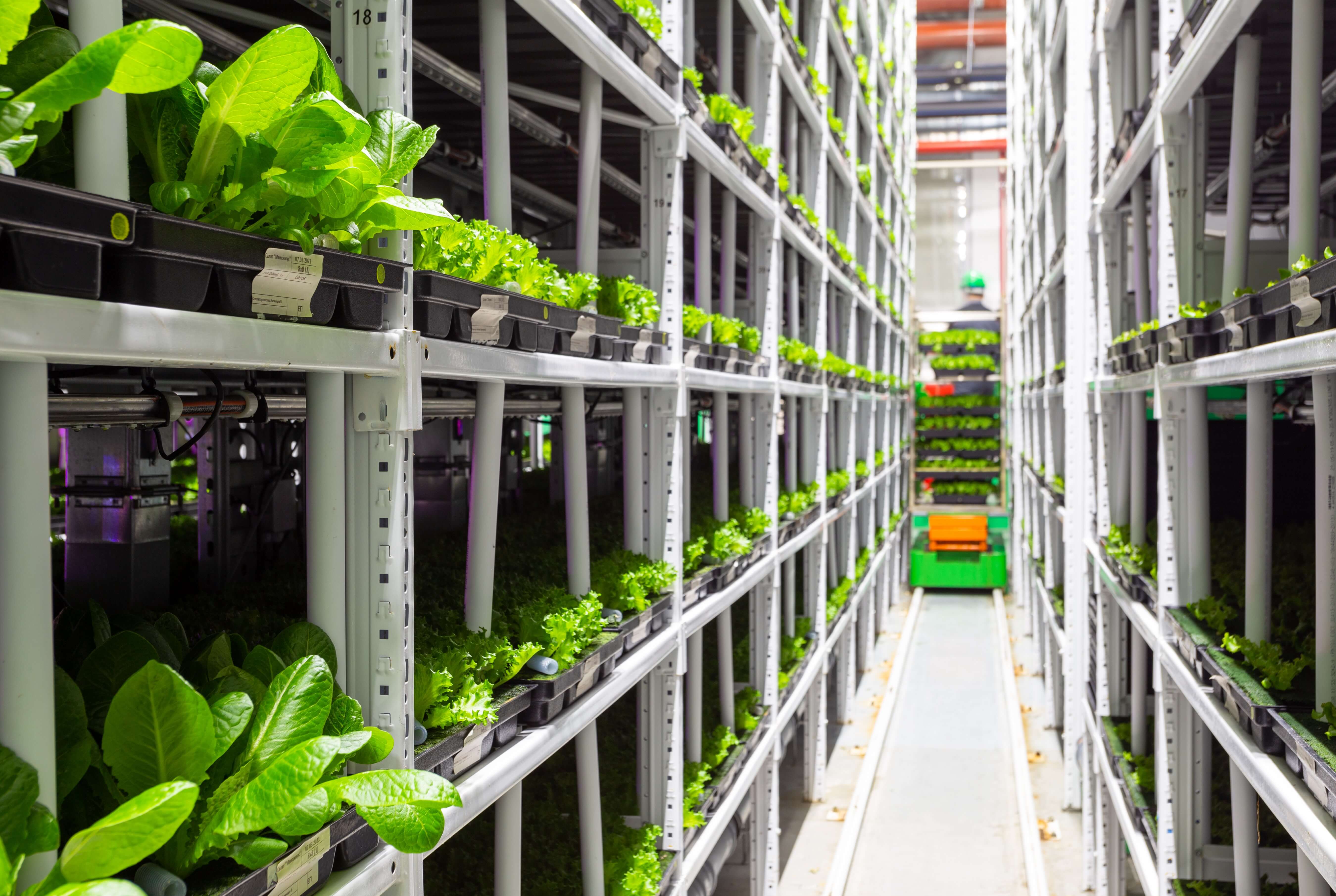 Image: Agriculture industries