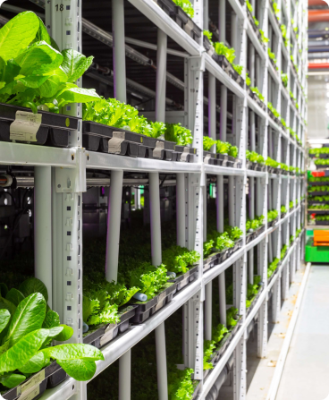 Image: Agriculture Industries